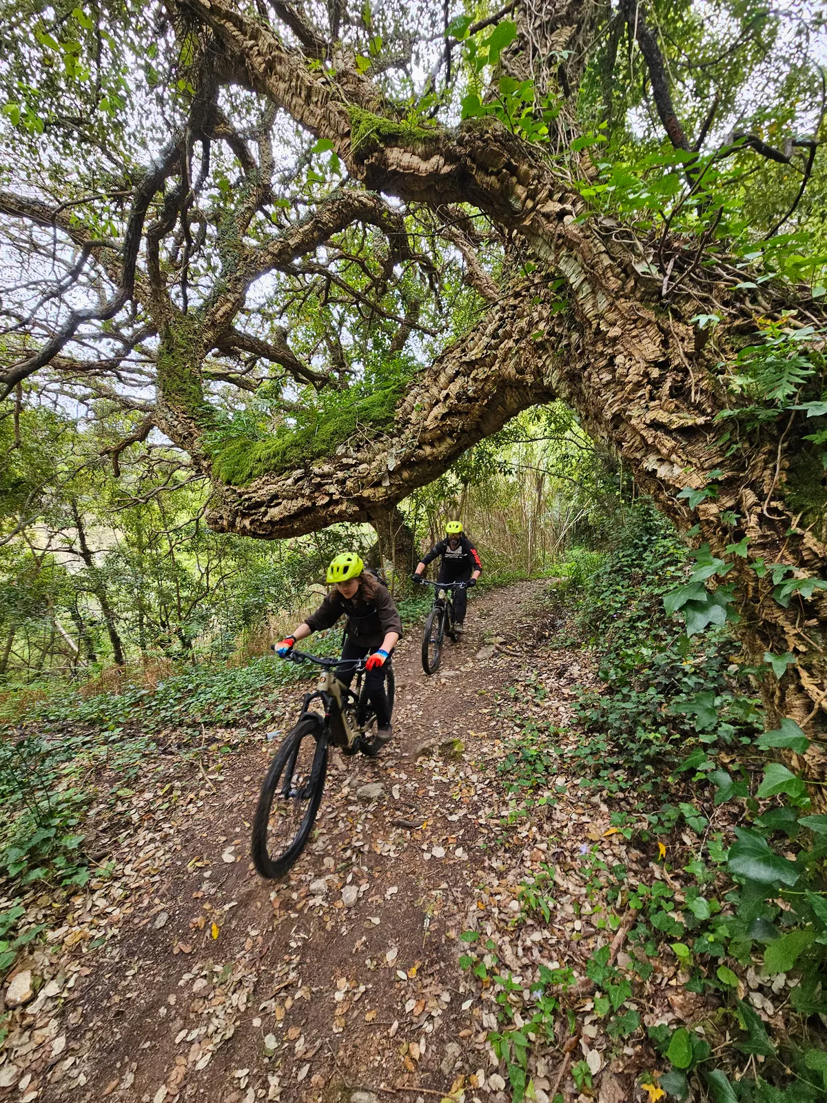 Mountain biking near Sintra, Portugal with Rent4Trail