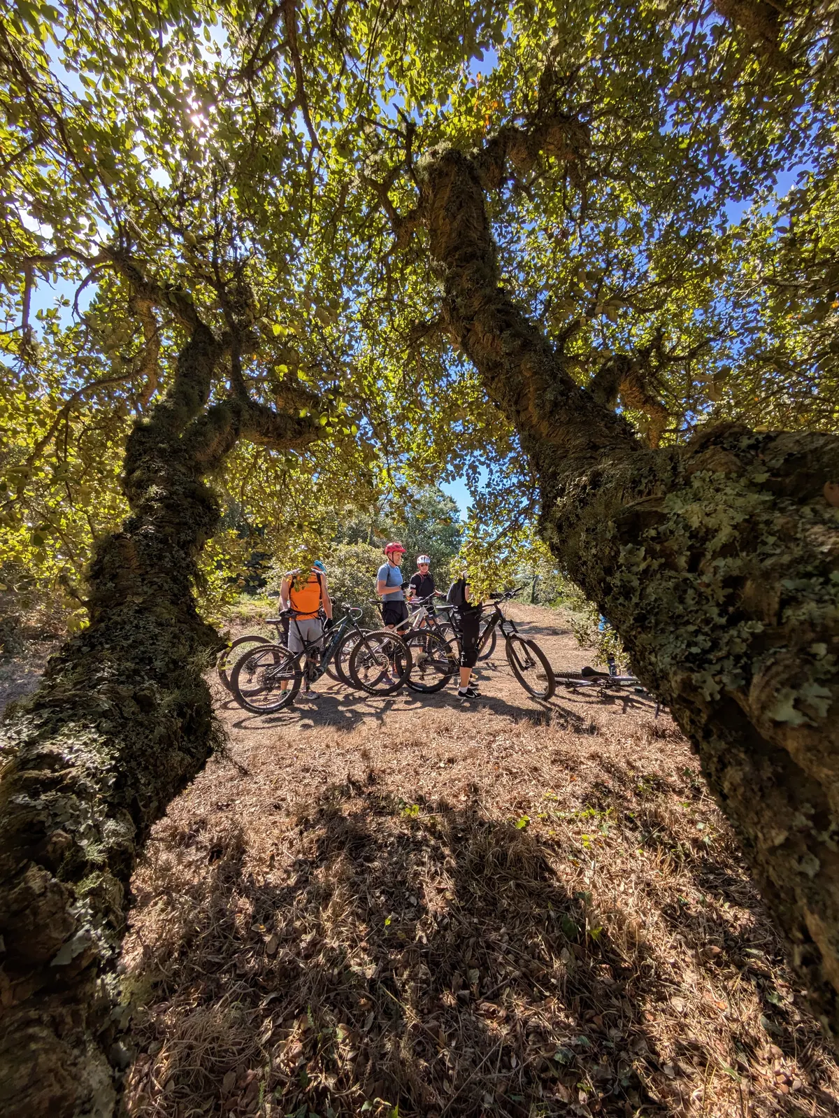 Mountain biking near Sintra, Portugal with Rent4Trail