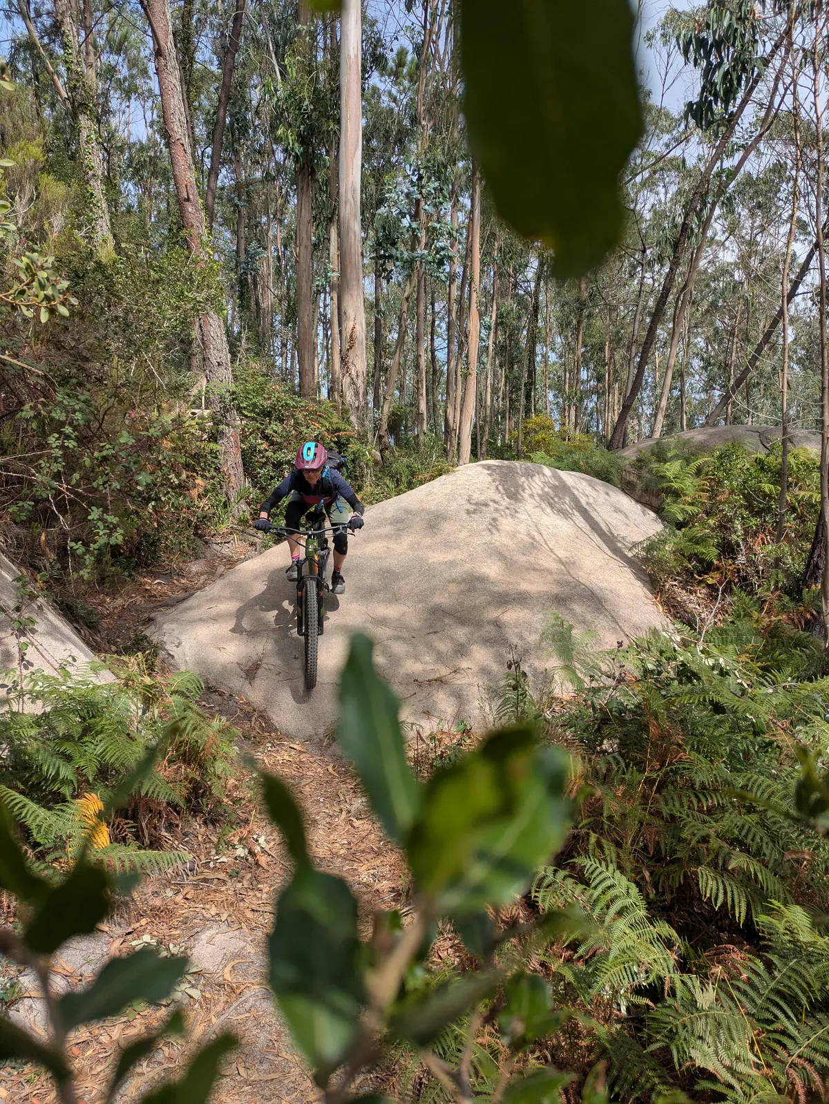 Mountain biking near Sintra, Portugal with Rent4Trail